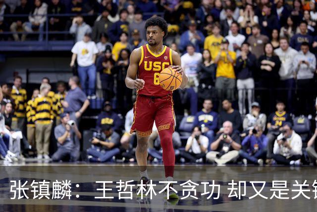 张镇麟：王哲林不贪功 却又是关键时刻能站出来的人 队长当之无愧